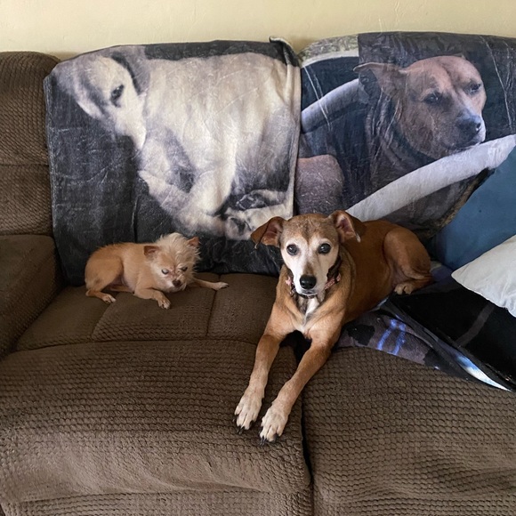 Meet your Posher, Andy - Picture 3 of 6